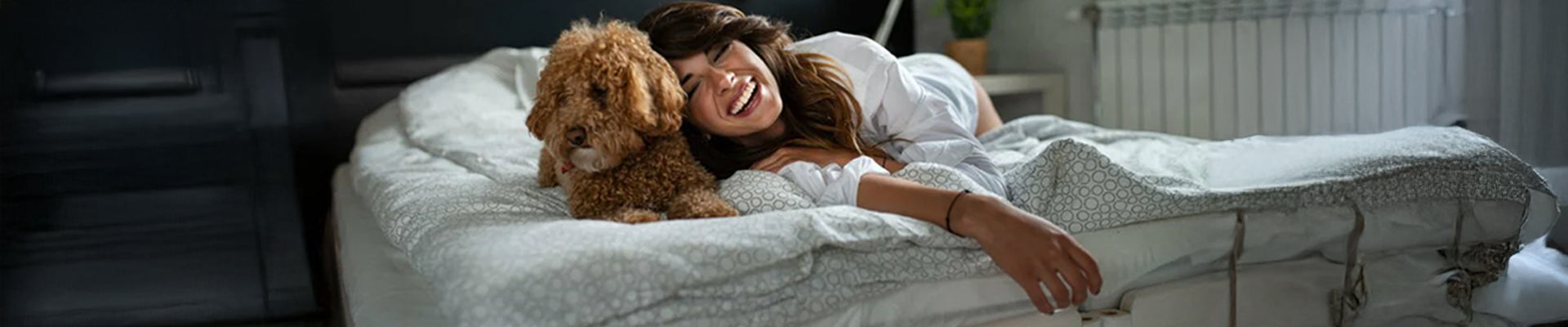 what kind of sheets repel dog hair