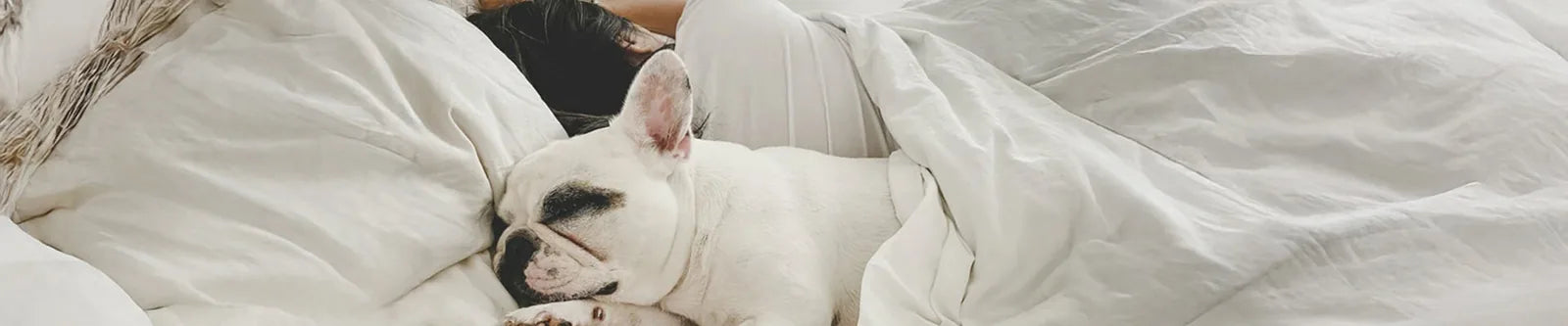best anti pet hair bed sheets