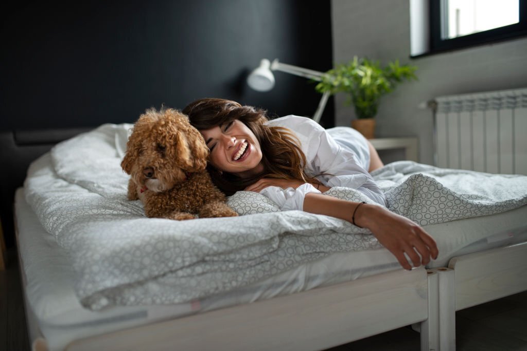 Best Travel Sheets for Hotels