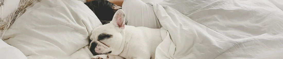 best anti pet hair bed sheets 