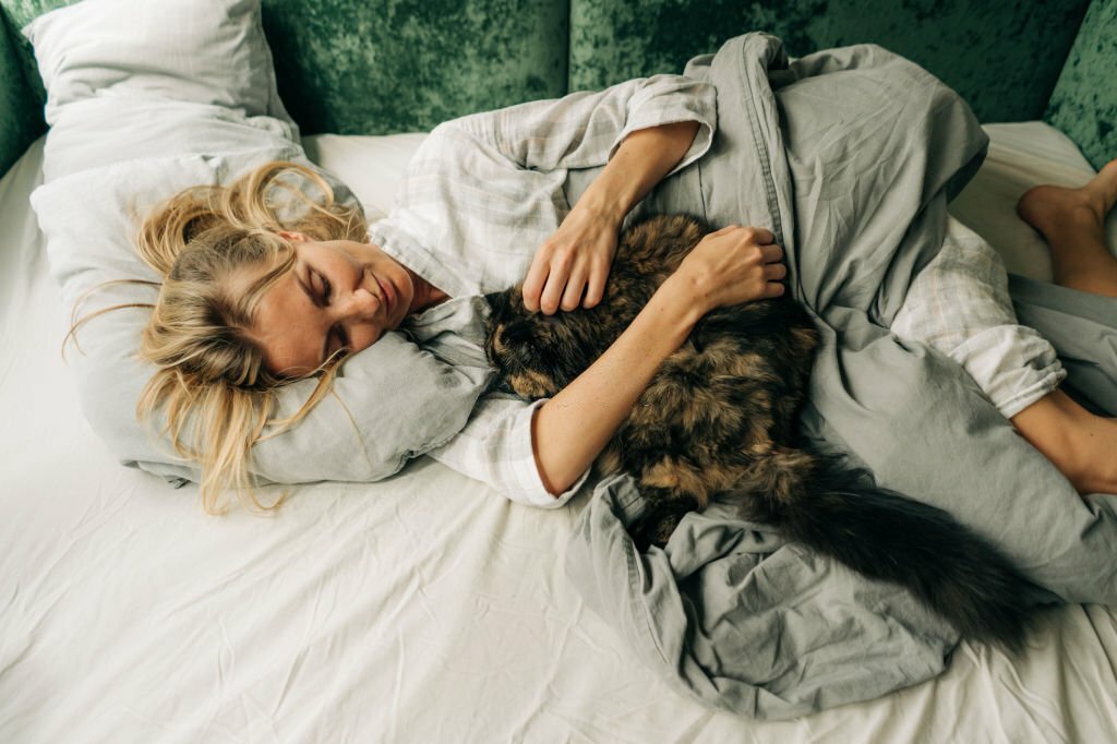 best bed sheets for cat owners