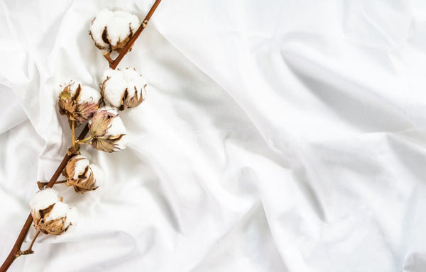 what is organic cotton sheets