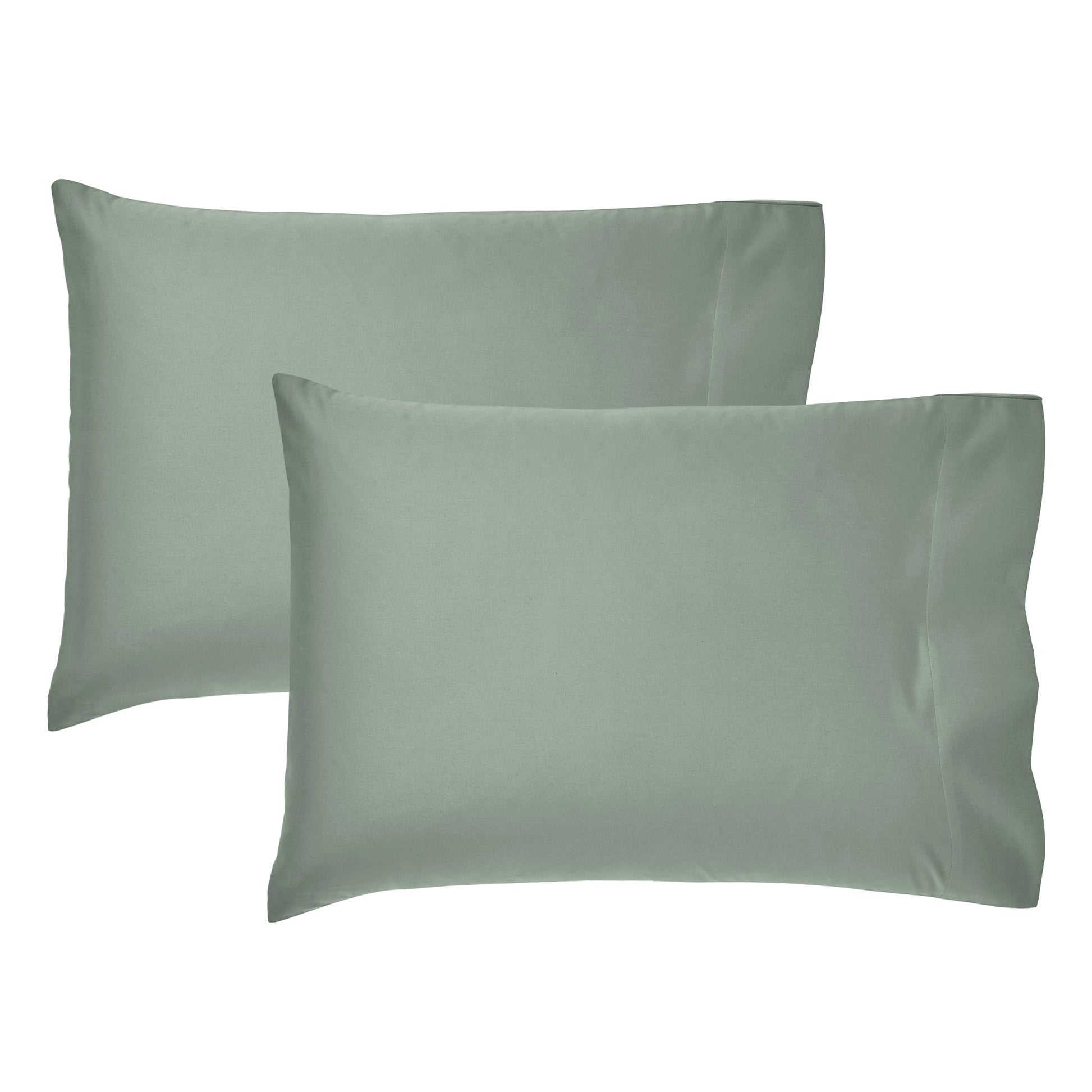 Sea Glass Sage