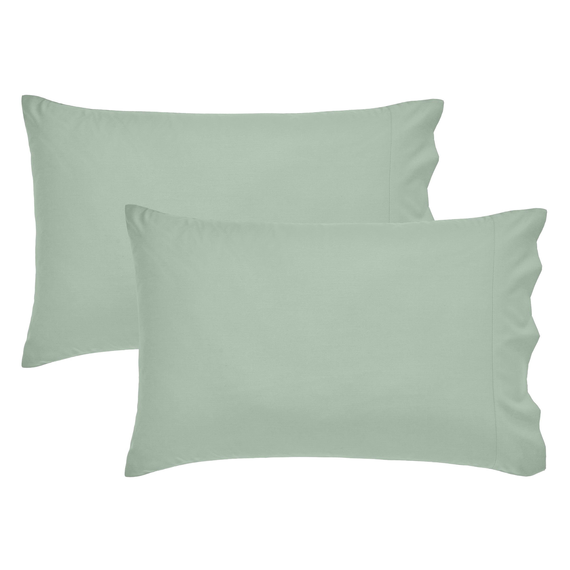 Sea Glass Sage