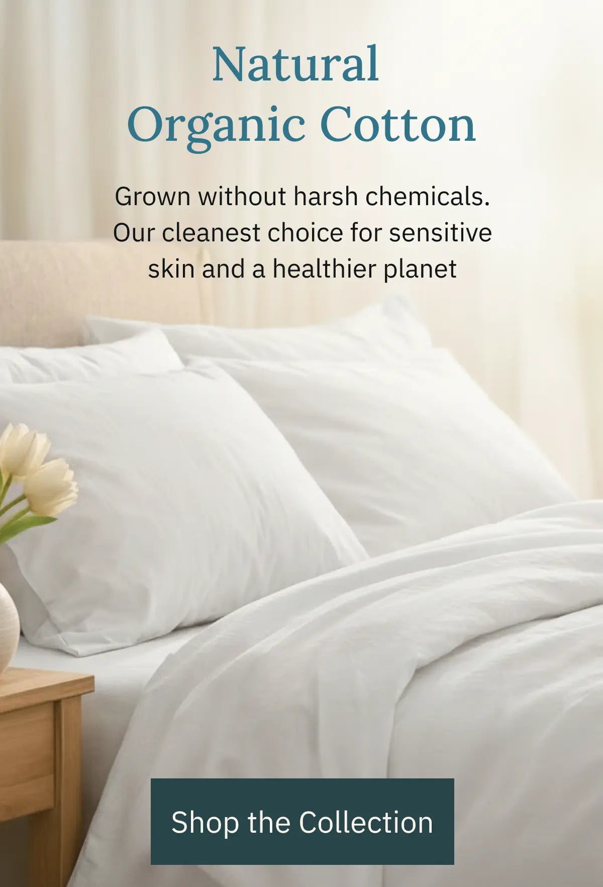 Soft Cotton Pillowcases in Every Color