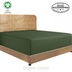 Natural Organic Cotton Percale Fitted Sheet