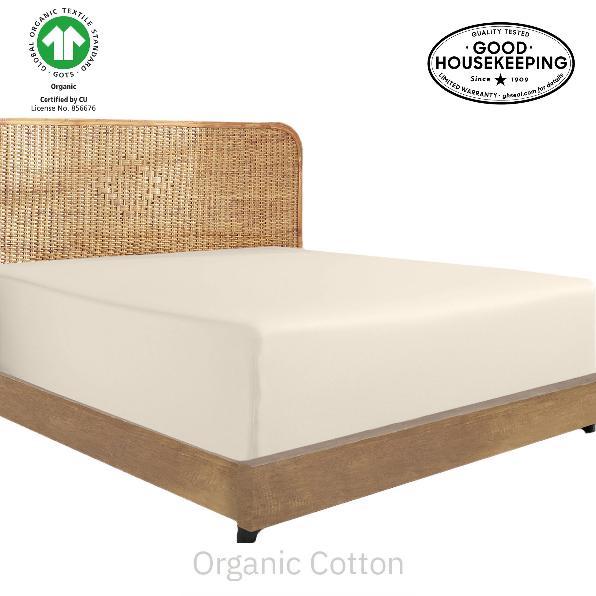 True Ivory
