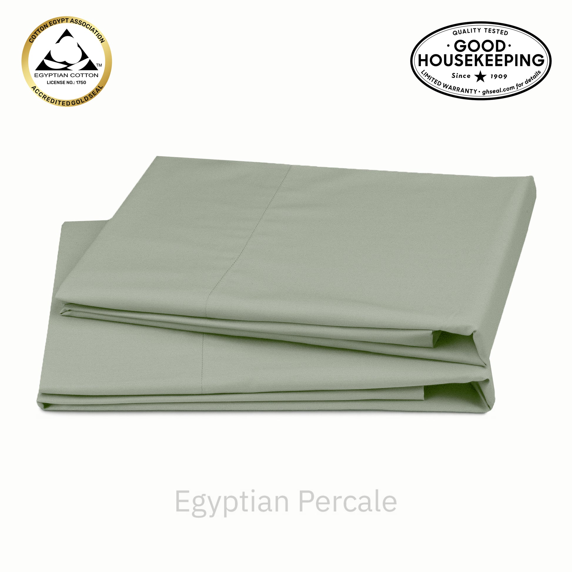 Pale Sage Green
