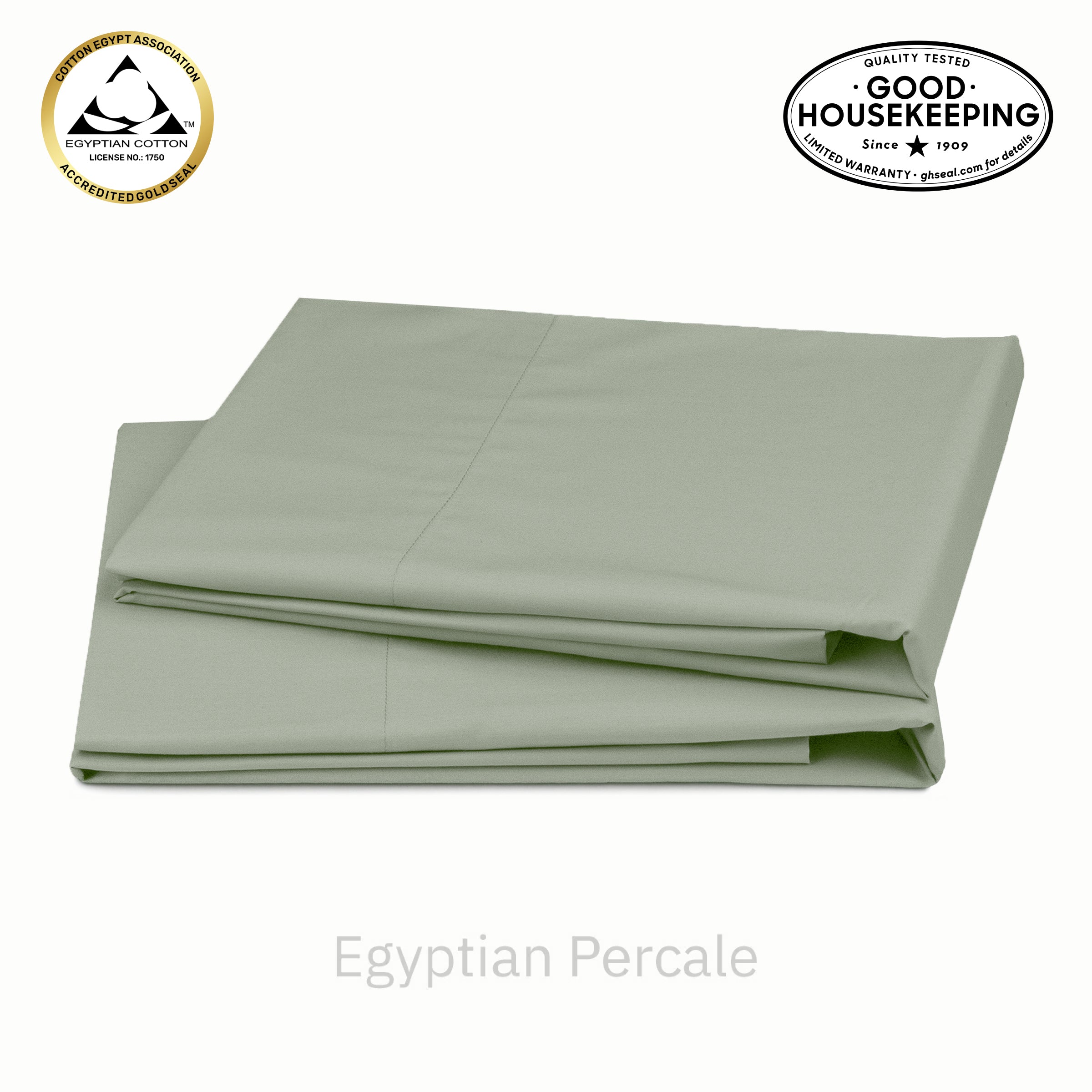 Pale Sage Green