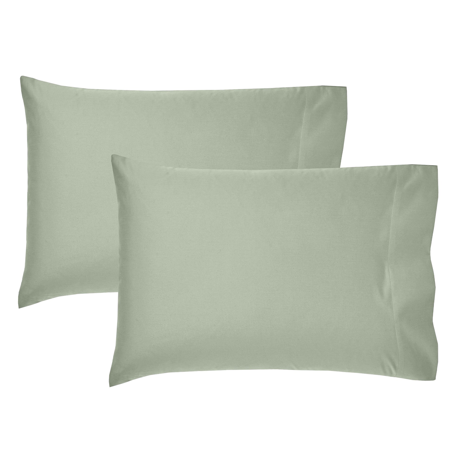 Pale Sage Green