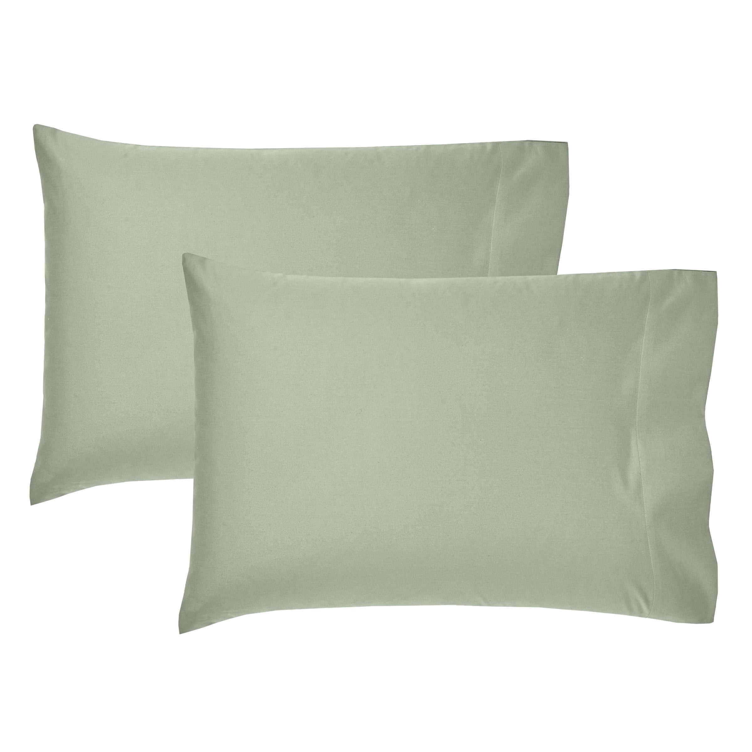 Pale Sage Green